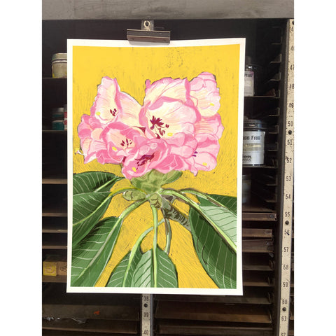RFL-320 Pink Rhododendron