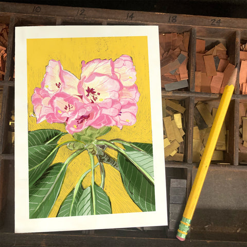 RFL-320 Pink Rhododendron