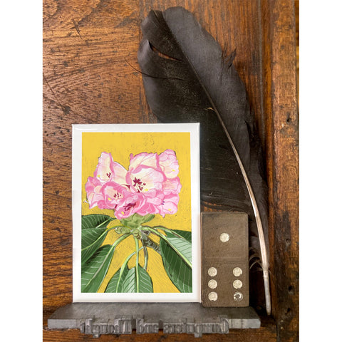 RFL-320 Pink Rhododendron