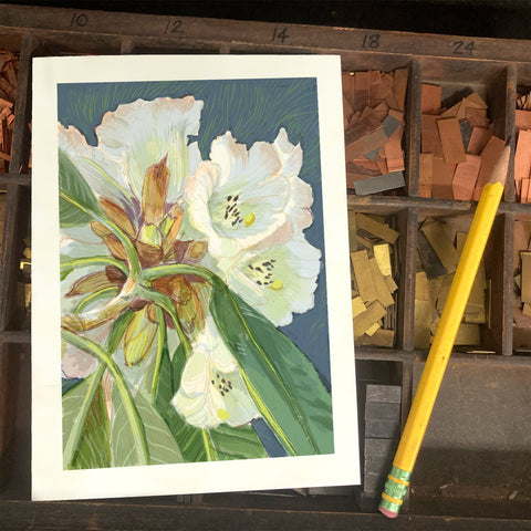 RFL-322 White Rhododendron