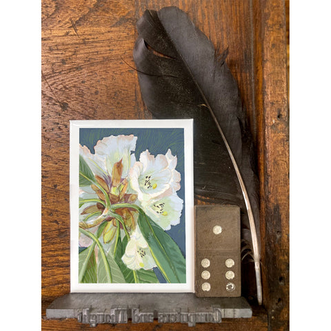 RFL-322 White Rhododendron