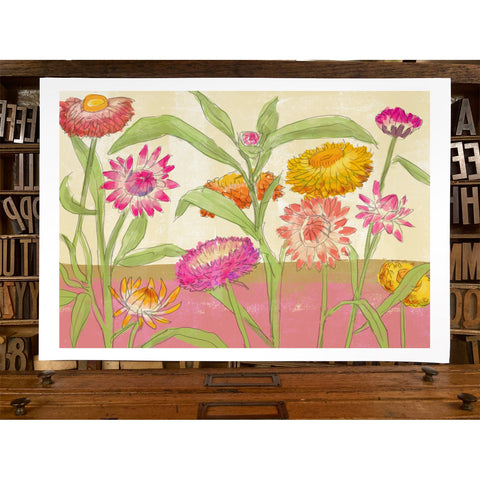 RFL-323 Strawflowers
