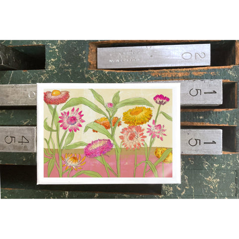 RFL-323 Strawflowers