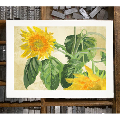 RFL-324 Two Sunflowers