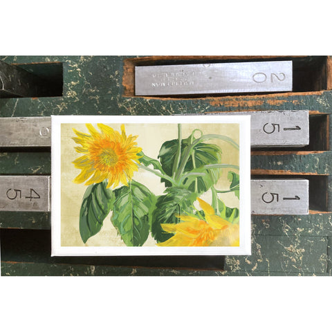 RFL-324 Two Sunflowers