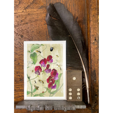 RFL-325 Sweet Pea and Pollinators