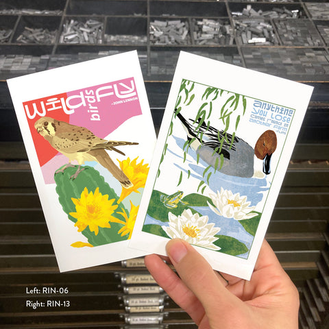 RIN-13 Anything You Lose