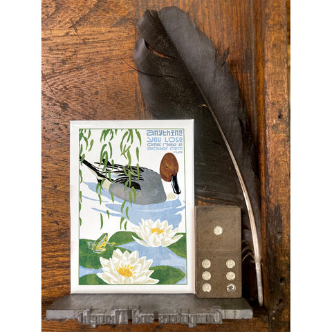 RIN-13 Anything You Lose