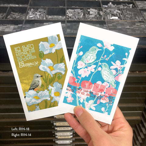 RIN-18 True Protest is Beauty