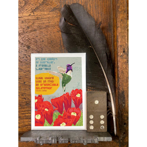 RIN-22 Invincible Summer