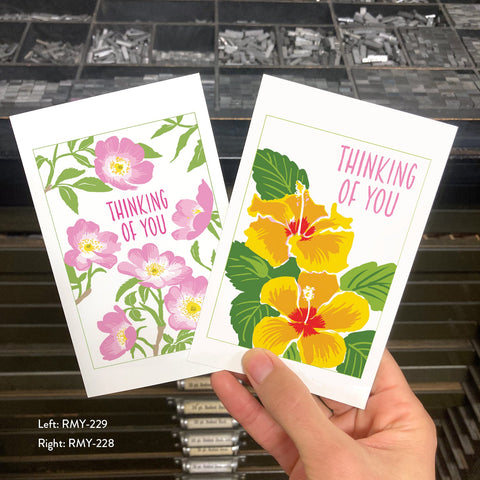RMY-228 Thinking Of You Hibiscus