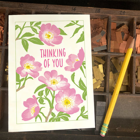 RMY-229 Thinking Of You Wild Rose