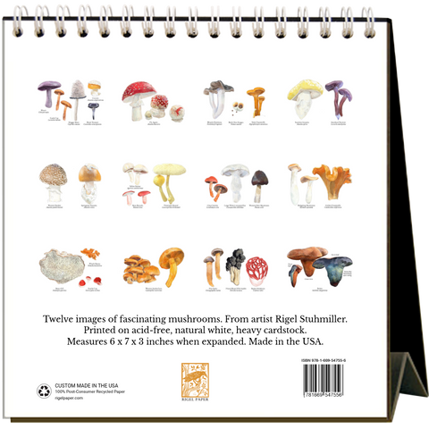 Mushrooms 2027 Easel Desk Calendar