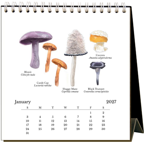 Mushrooms 2027 Easel Desk Calendar