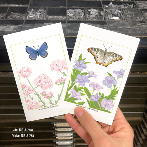 RBU-751 White Peacock Butterfly