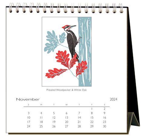 Eastern Birds 2024 Desk Calendar