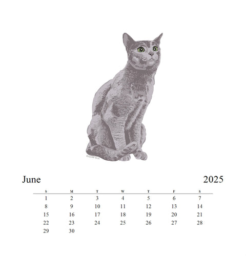 2025 Cats  Desk Calendar