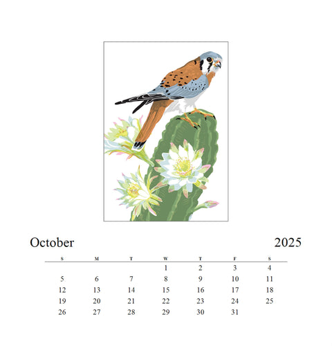 2025 Desert Birds Desk Calendar