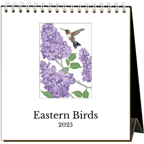 2025 Eastern Birds Desk Calendar